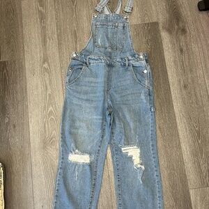 Wld Fable Distressed Overalls